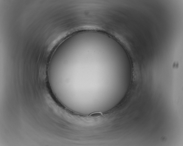 X0000113230015200909241533