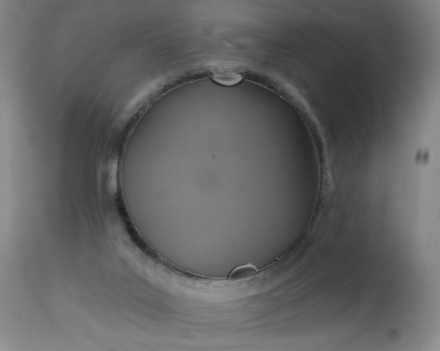 X0000113230019200909241533