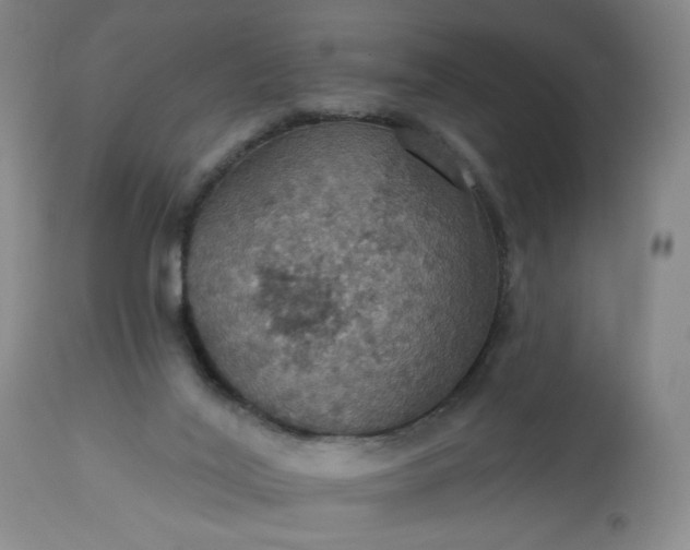 X0000113230020200909241533