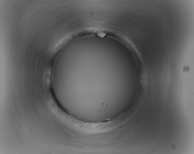 X0000113230023200909241533