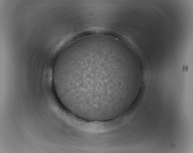 X0000113230024200909241533