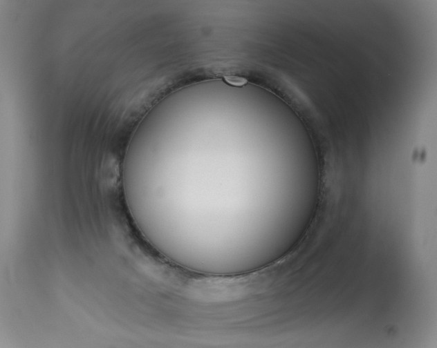 X0000113230025200909241533