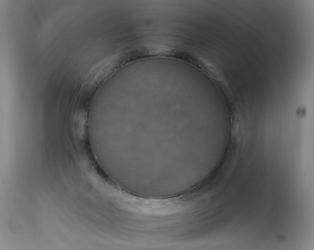 X0000113230026200909241533