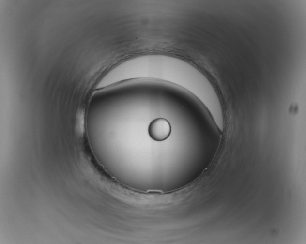 X0000113230027200909241533