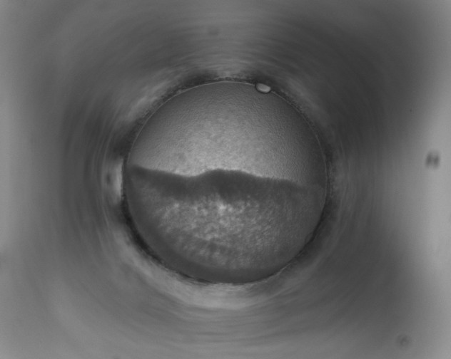 X0000113230028200909241533