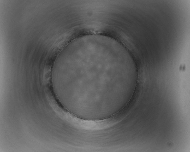 X0000113230030200909241533