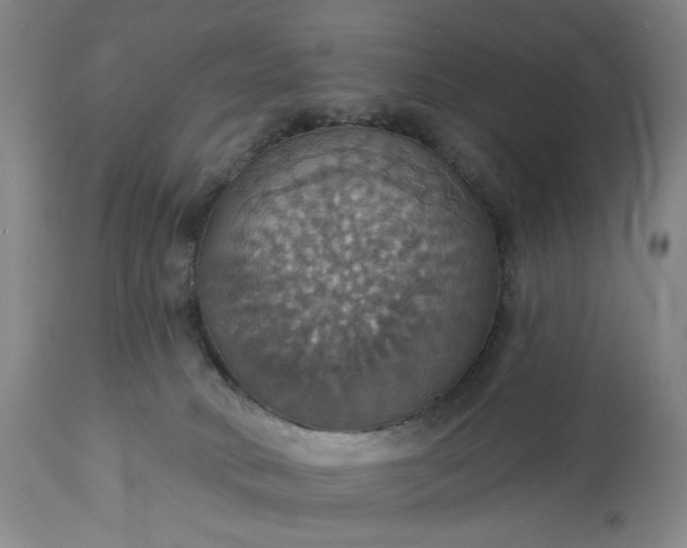 X0000113230034200909241533