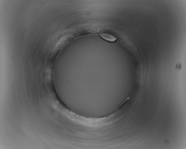 X0000113230035200909241533