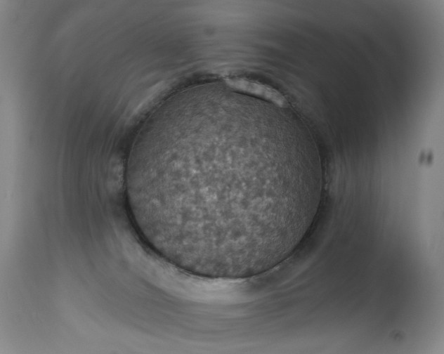 X0000113230036200909241533