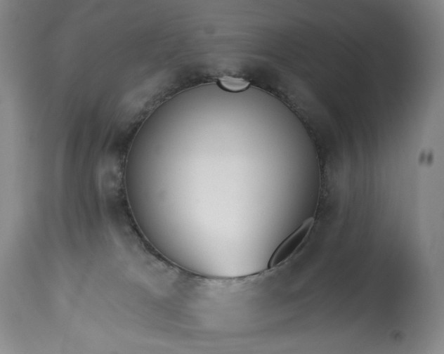 X0000113230037200909241533