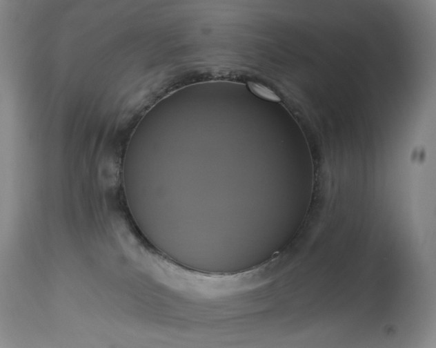 X0000113230039200909241533