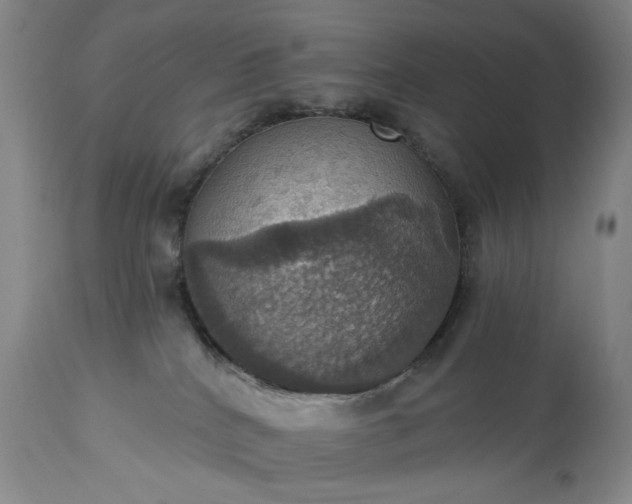 X0000113230040200909241533