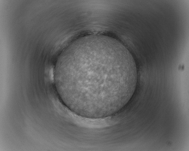 X0000113230042200909241533