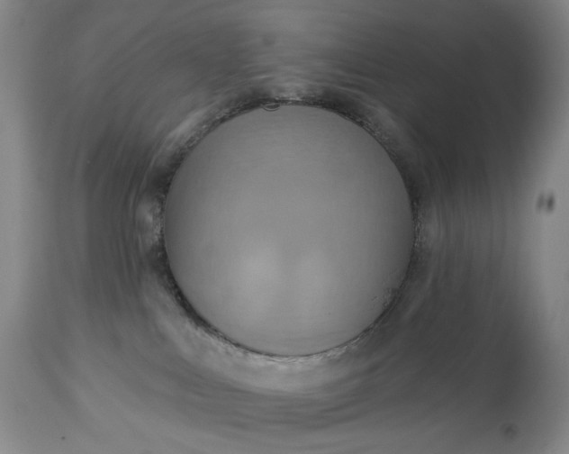 X0000113230043200909241533