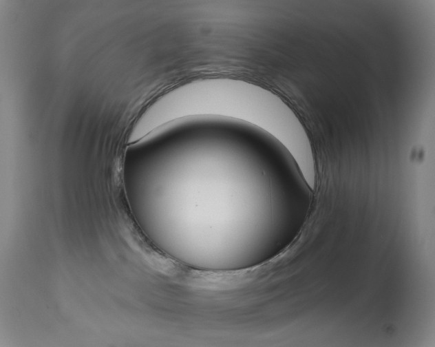 X0000113230045200909241533