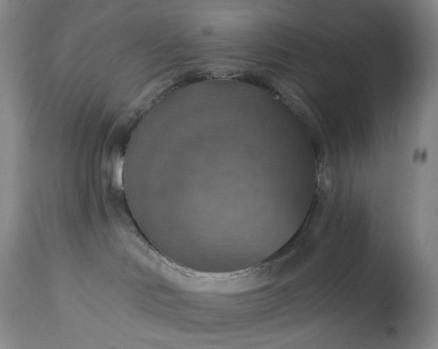 X0000113230046200909241533