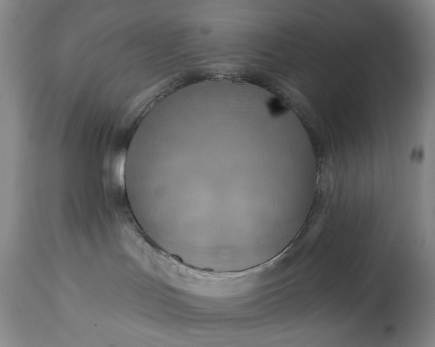 X0000113230047200909241533