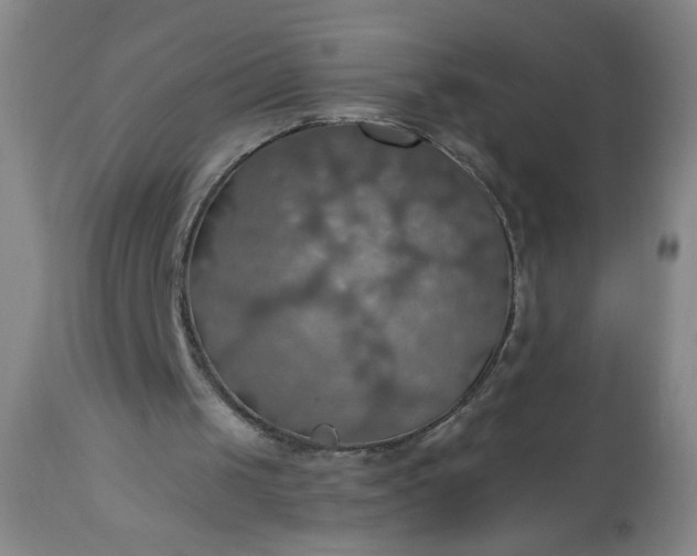 X0000113230049200909241532