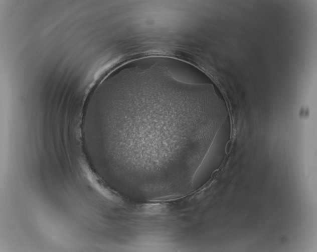 X0000113230050200909241532