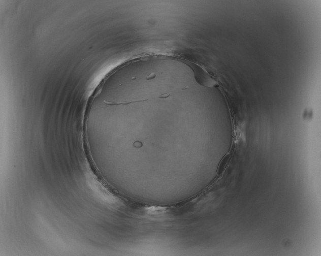 X0000113230052200909241532