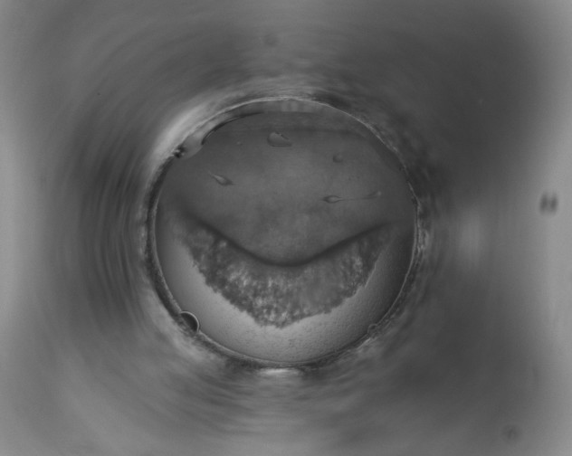 X0000113230053200909241532