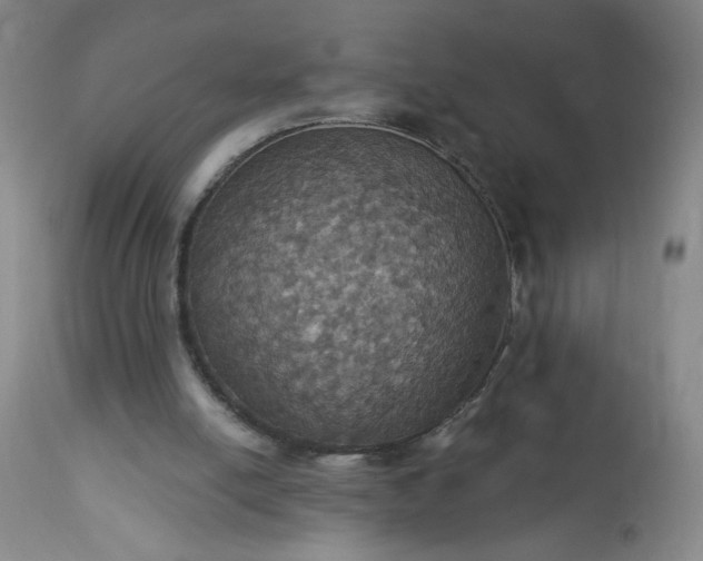 X0000113230054200909241532