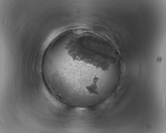 X0000113230055200909241532