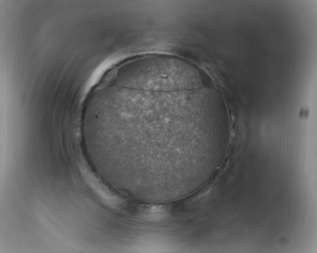 X0000113230056200909241532