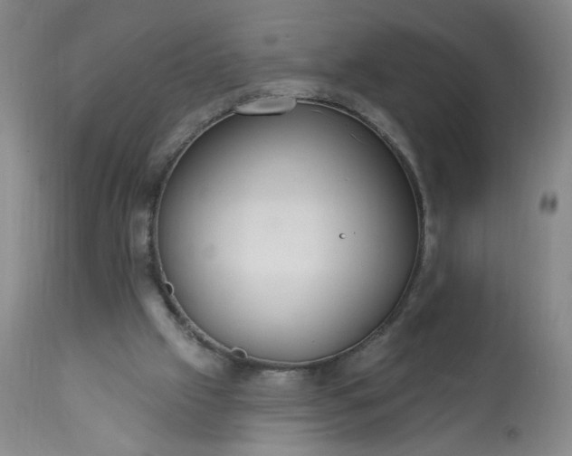 X0000113230057200909241532