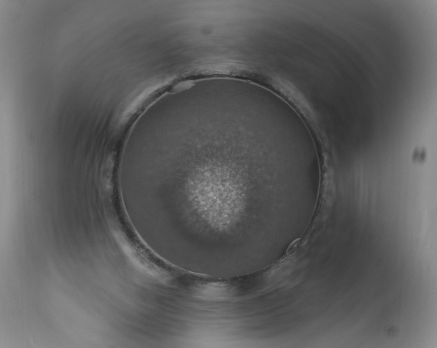 X0000113230058200909241532