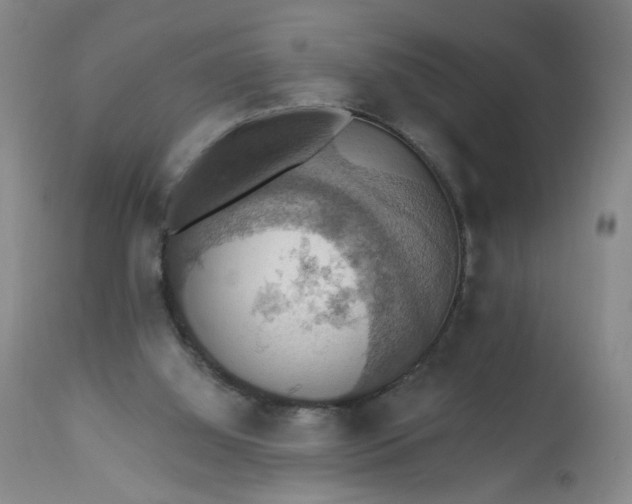 X0000113230060200909241532