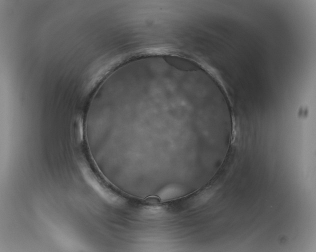 X0000113230061200909241532