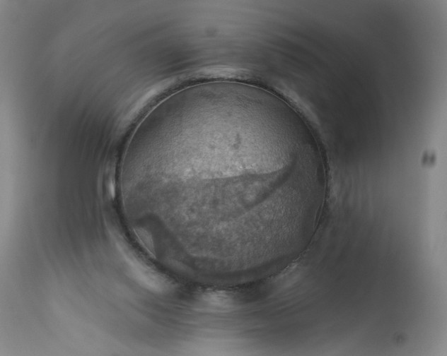 X0000113230062200909241532