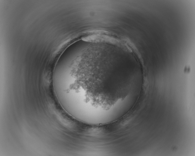 X0000113230063200909241532