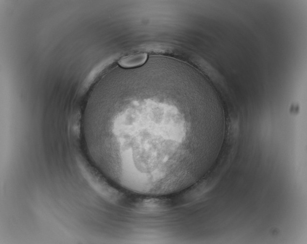 X0000113230064200909241532