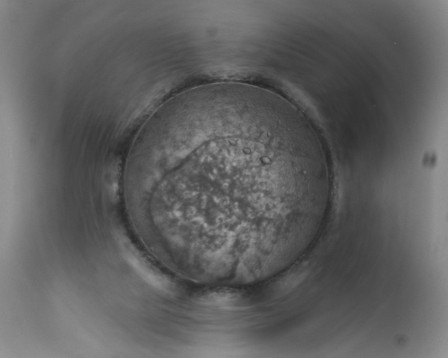 X0000113230065200909241532