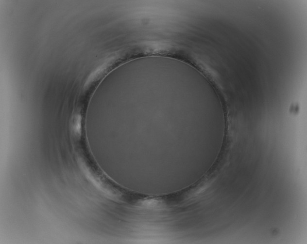 X0000113230067200909241532