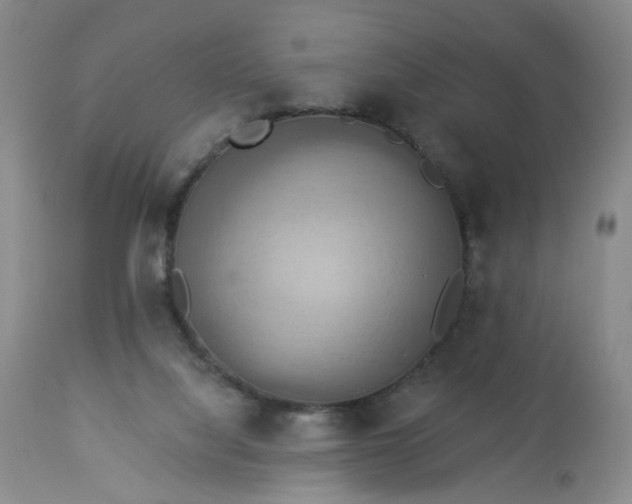 X0000113230068200909241532