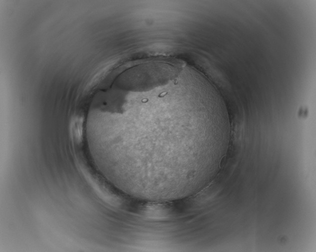 X0000113230070200909241532