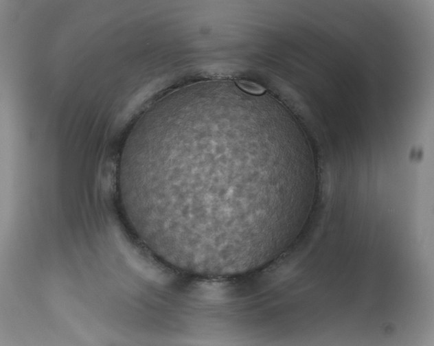 X0000113230071200909241532