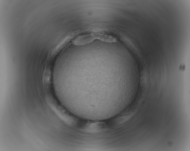 X0000113230072200909241532