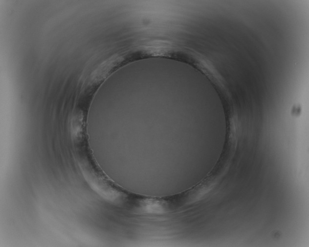 X0000113230073200909241532