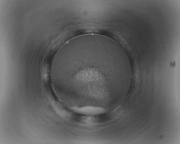 X0000113230074200909241532