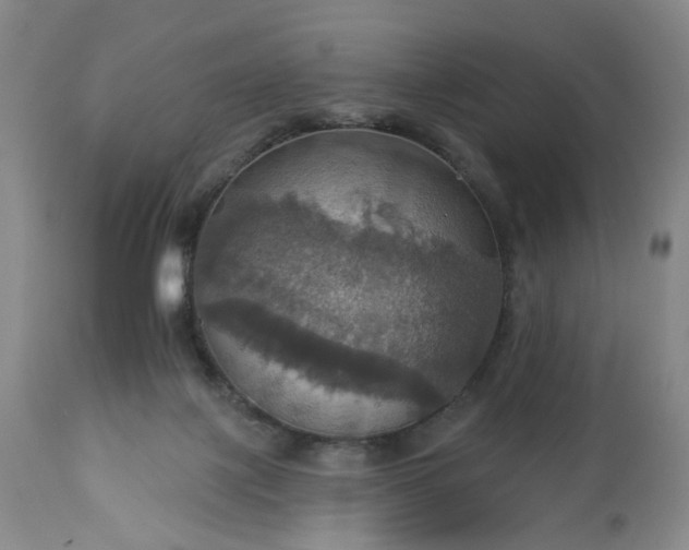 X0000113230075200909241532