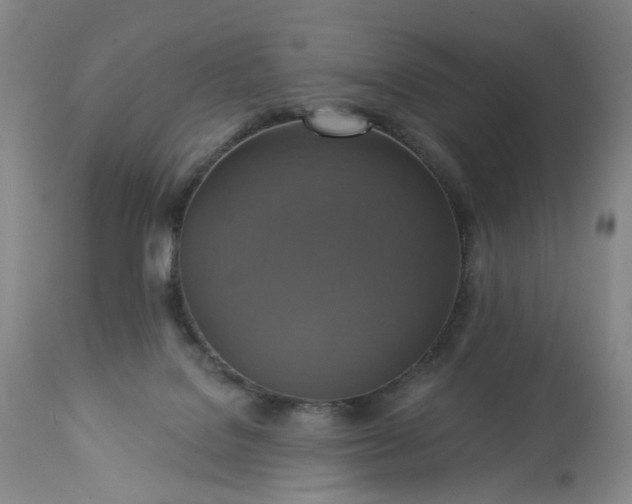 X0000113230076200909241532