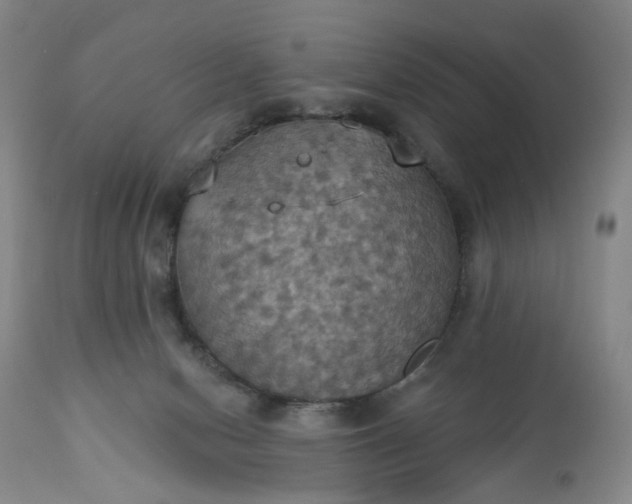 X0000113230078200909241533