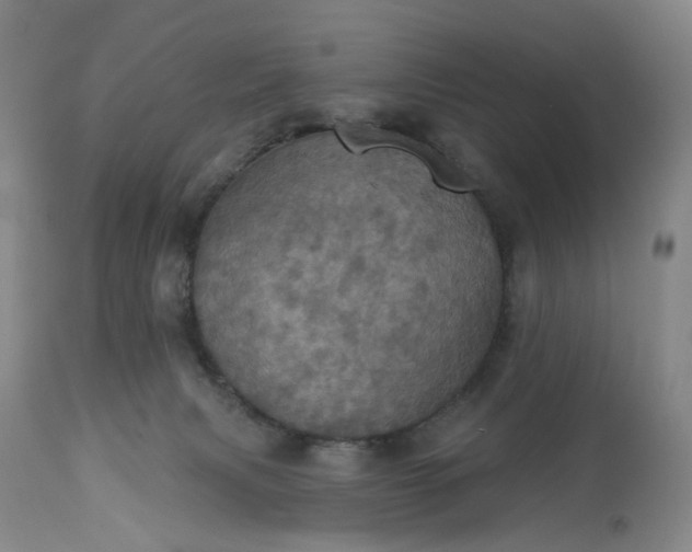 X0000113230079200909241533