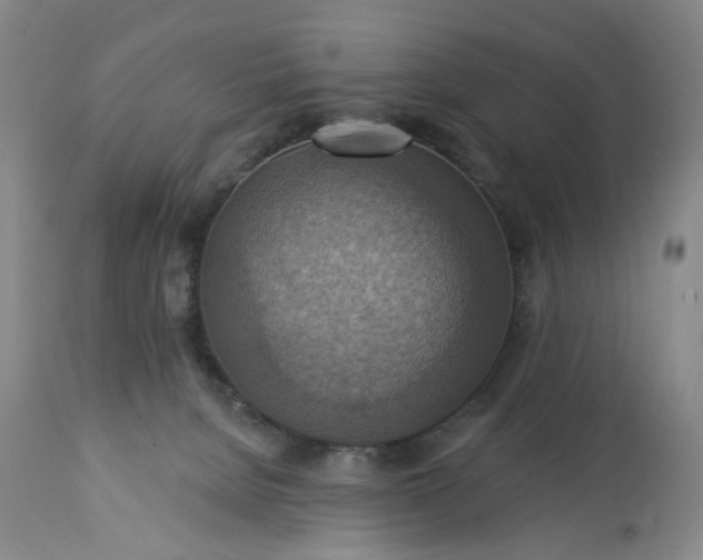 X0000113230080200909241533