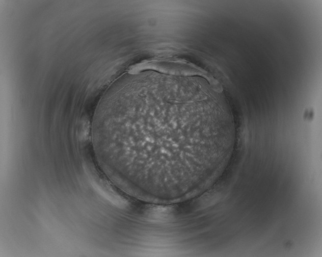 X0000113230081200909241533