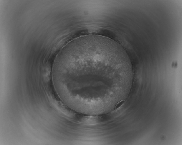 X0000113230082200909241533